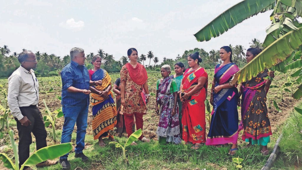 Mettur Dam Delay Forces Trichy Banana Farmers to Cut Acreage | Chennai News