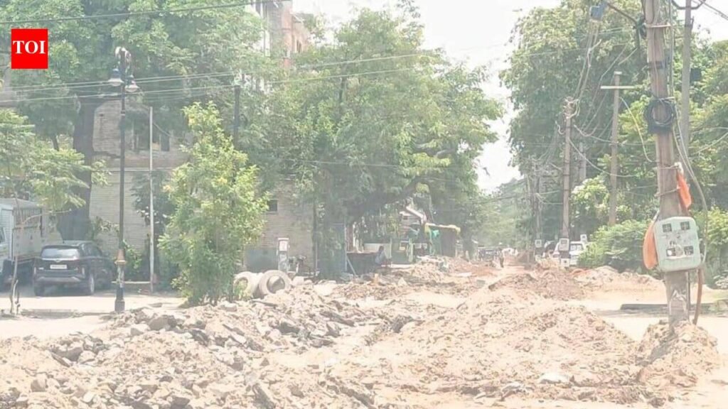 Poor planning leaves Mohali residents battling muddy roads, traffic snarls | Chandigarh News