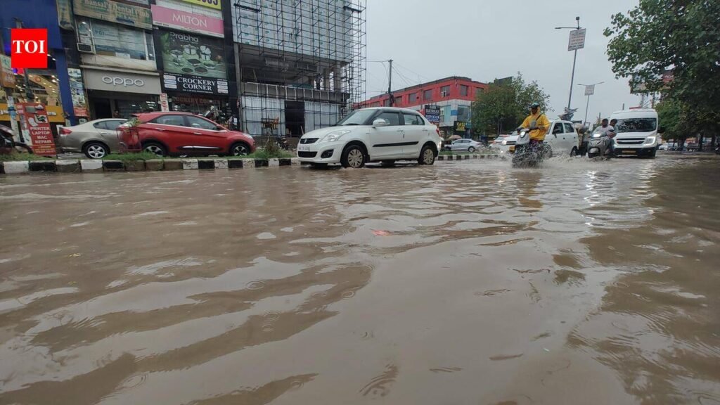 NHAI to plug sewage flow into storm drains | Chandigarh News