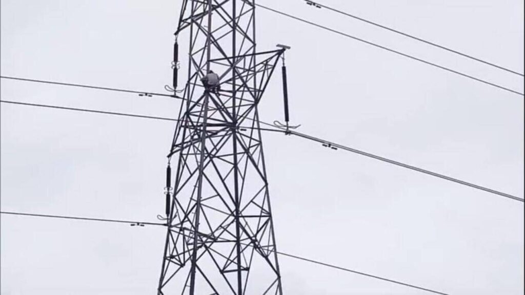 Woman scales tower in Muzaffarpur, insists on marrying female partner | Patna News