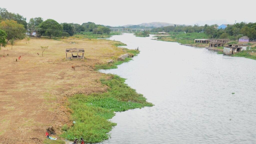 Expert panel disagrees with TN govt’s ₹1,875-cr reservoir plan in tiger reserve | Chennai News