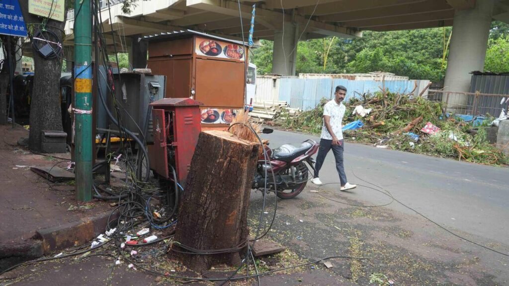 Thane sees 1st tree-crash death as plumber succumbs to injuries after 3 days in ICU; political storm erupts over tree safety | Mumbai News