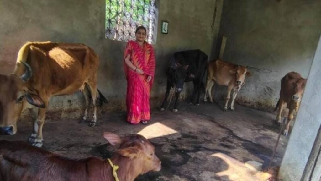 Women in West Singhbhum villages boost incomes through govt schemes | Ranchi News