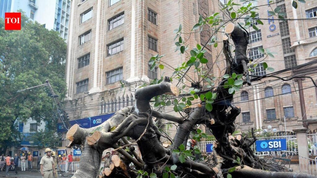 Giant Tree Collapses On Strand Road Amid Rain, Disrupts Traffic | Kolkata News