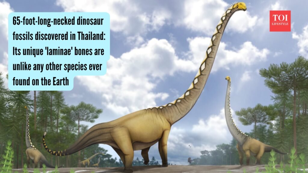 65-foot-long-necked dinosaur fossils discovered in Thailand: Its unique ‘laminae’ bones are unlike any other species ever found on the Earth