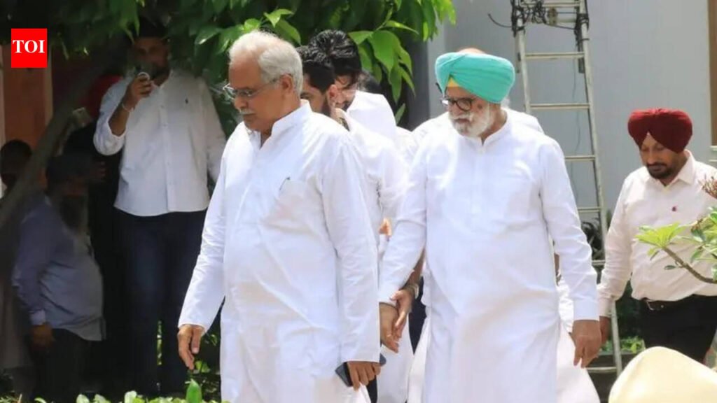 Punjab Congress dissidents renew demand for Warring’s ouster | Chandigarh News
