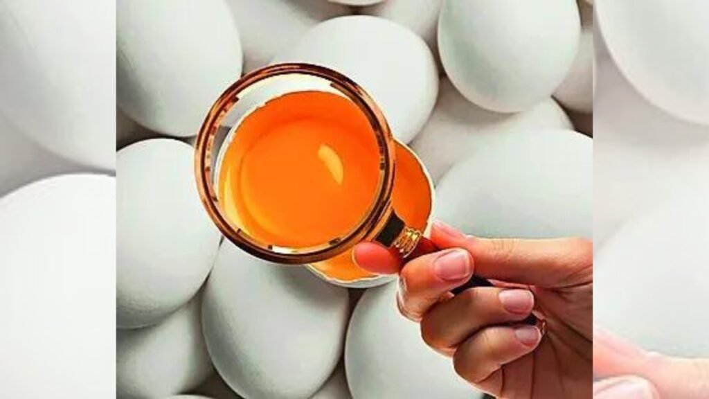 Swiggy Instamart Notices: Rotten eggs, spoiled parathas: Swiggy gets 9 notices from FSSAI | India News