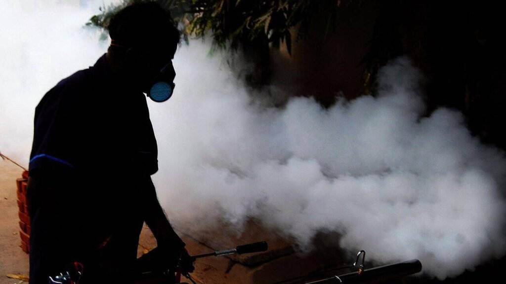 Erratic rains, changing mosquito breeding patterns put Hyderabad on dengue alert | Hyderabad News