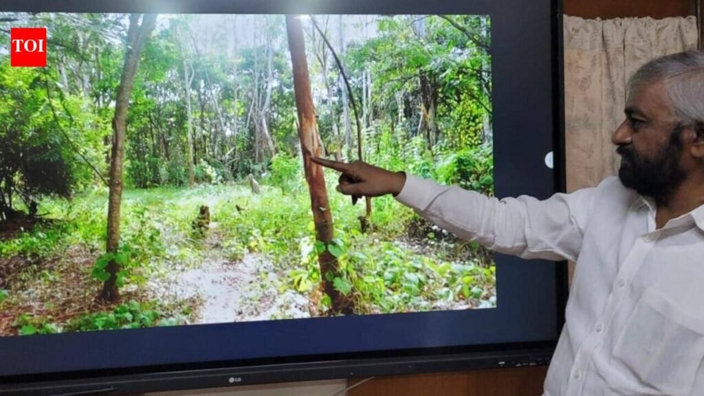 Khandre dares Kumaraswamy to disprove HMT forest land claim | Bengaluru News