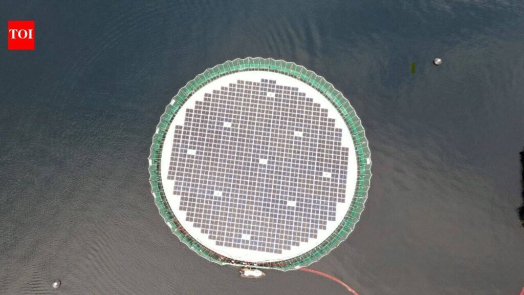 How floating solar panels created a new home for thousands of salmon at a Chile fish farm