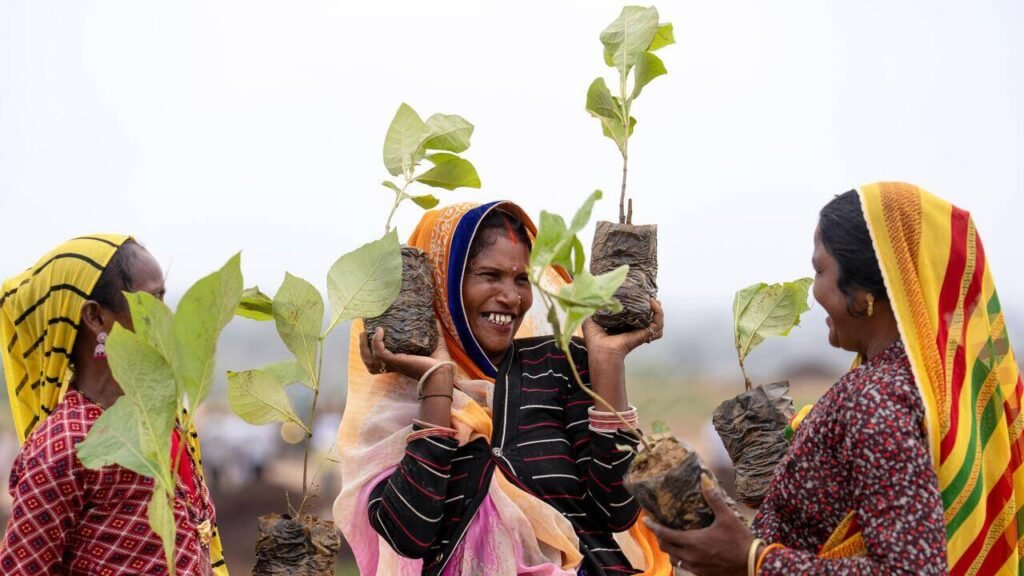 Green revolution takes root in Prayagraj with 82 lakh saplings | Prayagraj News