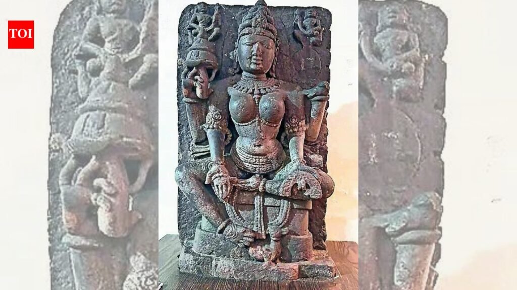 Goddess Gayatri: Dhar’s Saraswati is Gayatri: Science ends 900-year mix-up | India News
