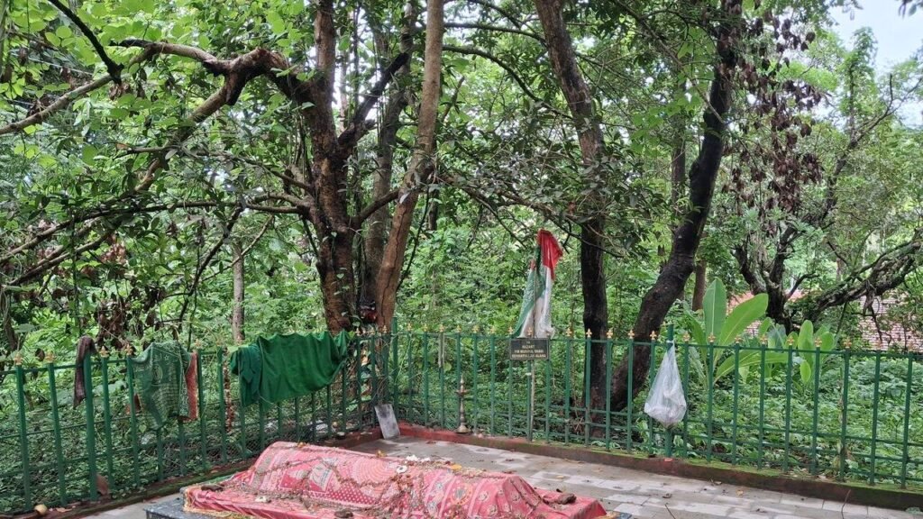Hindu locals take care of Priol dargah’s upkeep, consider Pir to be their guardian | Goa News