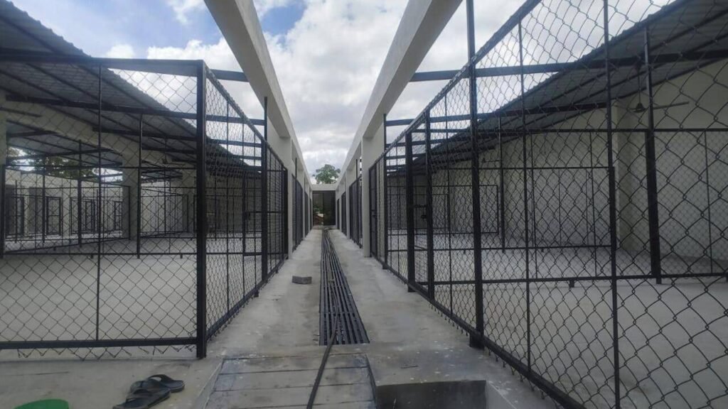 Activist moves high court against Greater Bengaluru Authority’s stray dog shelters, claims they endanger locals | Bengaluru News
