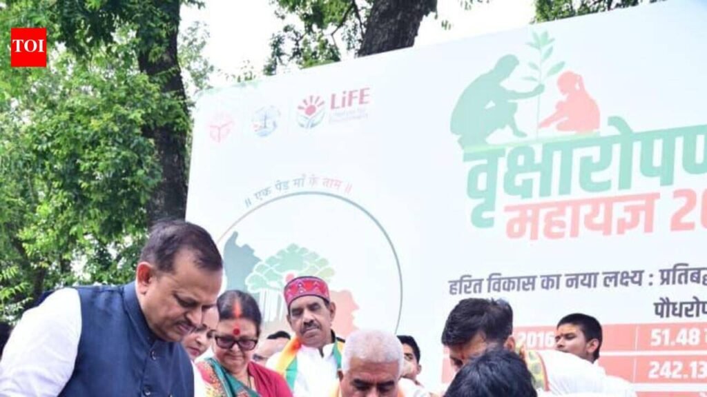 Kanpur turns over a greener leaf with 37.63 lakh saplings | Kanpur News