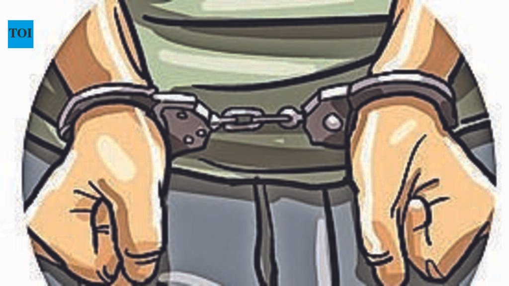 Chennai police arrest four for murdering welder near Ponneri bridge | Chennai News