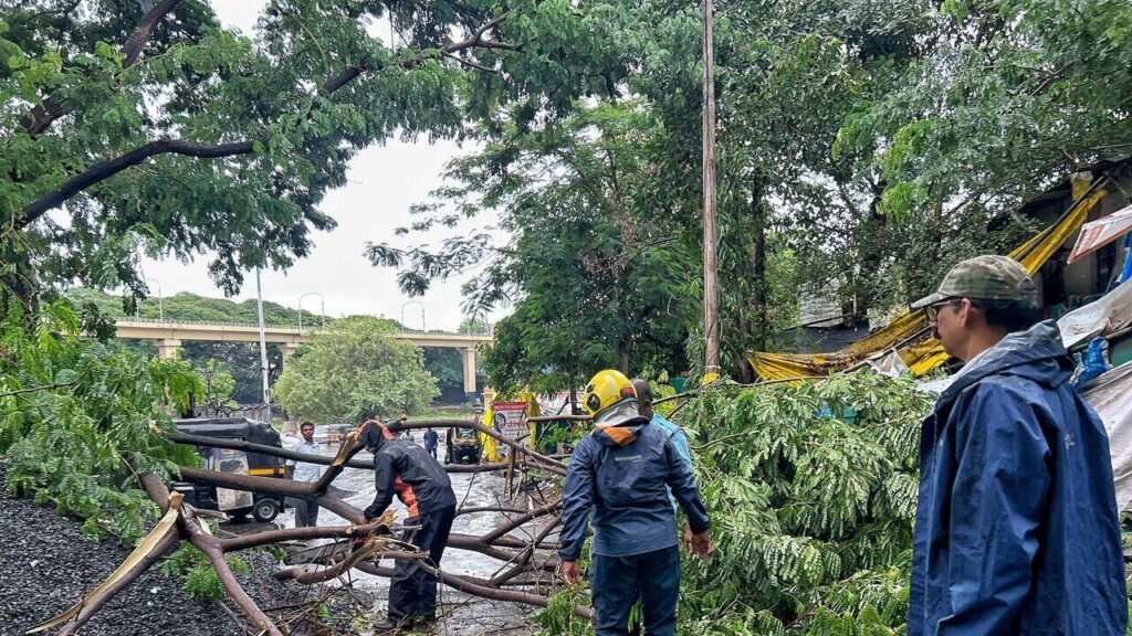 90% staff shortage in PMC’s garden department affects key workings to safeguard city’s green cover | Pune News
