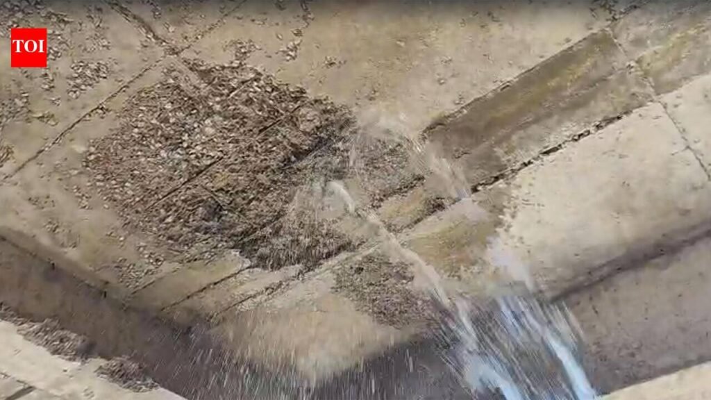 Roof slab collapses at new school building after a ‘gentle’ tap, govt to conduct audit | Gurgaon News