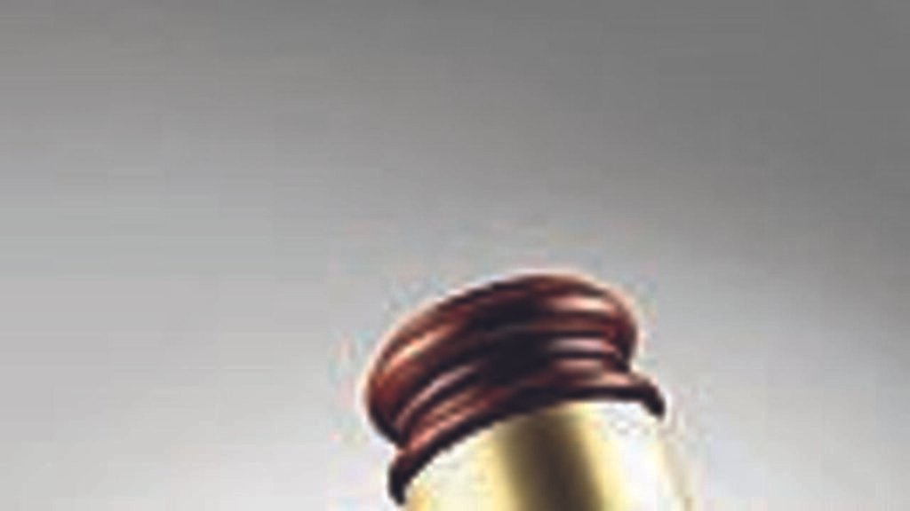 Govt seeks Nov deadline for local body polls; Raj HC to hear contempt plea today | Jaipur News