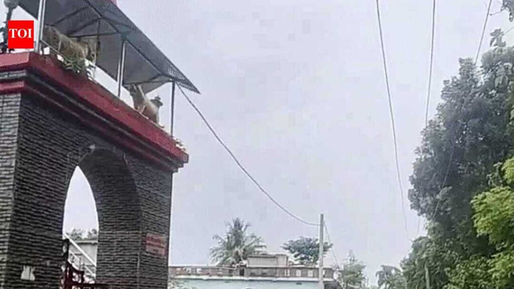 Silver idol, ornaments stolen from Bhagalpur temple | Patna News