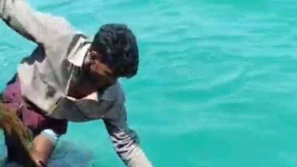Fishermen trained by city researchers rescue entangled sea turtle off Tamil Nadu coast | Chennai News