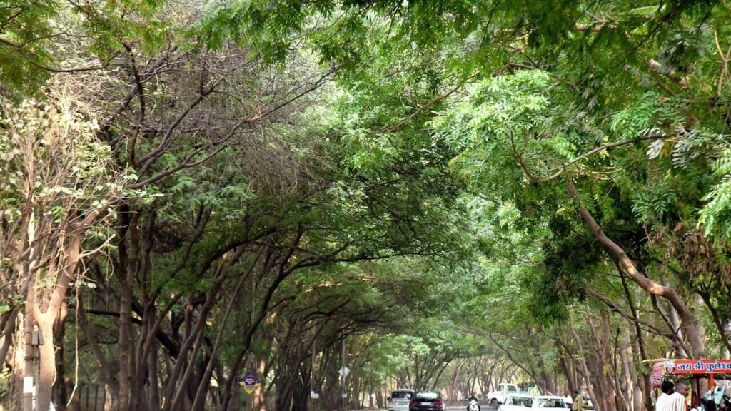 India likely to get greener despite climate change: IITM study | Pune News