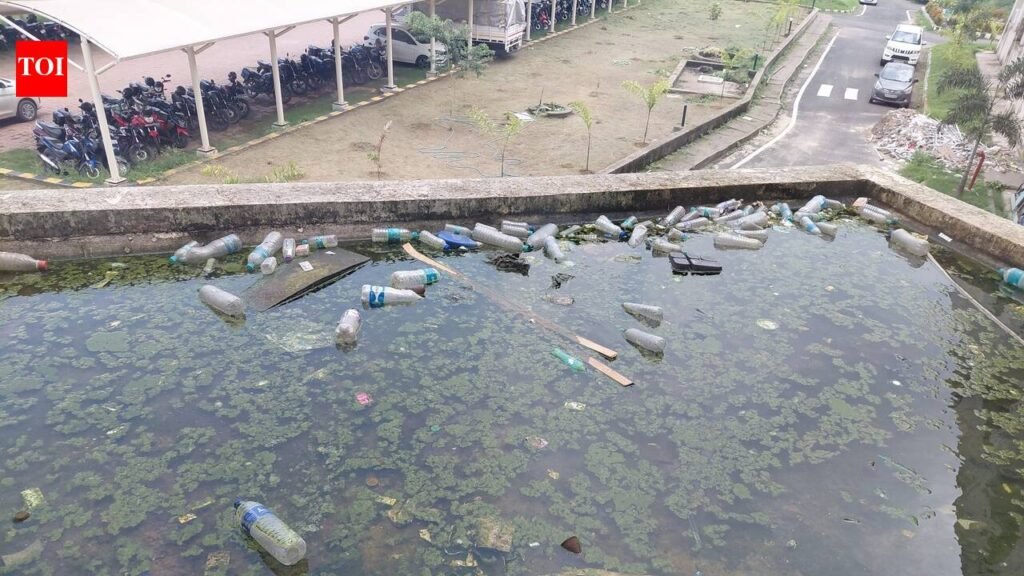 Stagnant water near Dhanbad DC office sparks dengue fear | Ranchi News