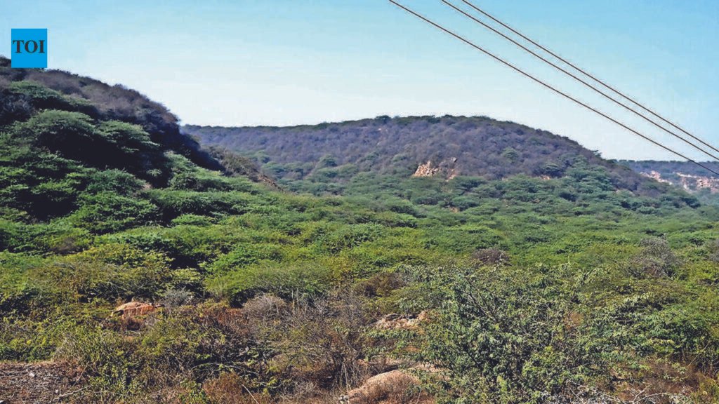 Centre seeks removal of forest encroachment before warehouse project | Gurgaon News