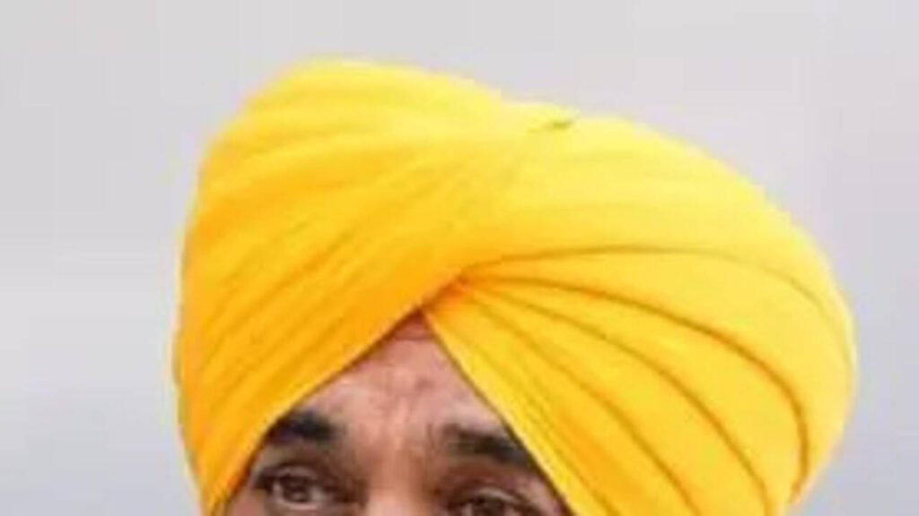 CM announces new appointments to boards and commissions | Chandigarh News