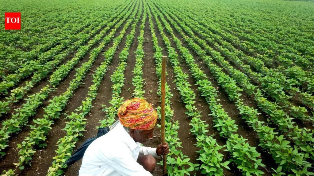 Over 3,600 soybean seed plaints across Maha; 4 FIRs filed against seed firms | Nagpur News