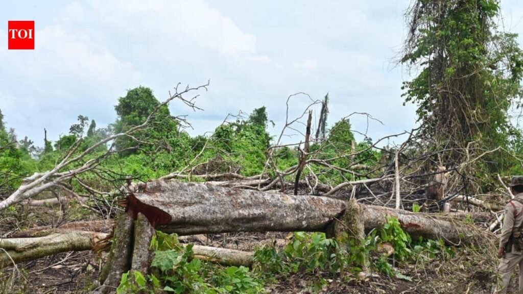 Survey shows encroachment & destruction across nearly 400 hectares of Behali RF, govt ups security | Guwahati News