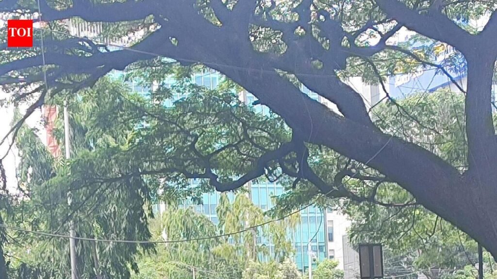 Crumbling bridge near Sandal Soap Factory Metro station in Bengaluru raises safety concerns | Bengaluru News