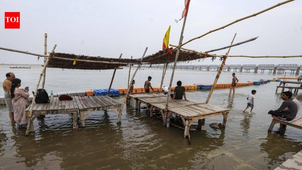 Digital push accelerates disaster assistance distribution in Prayagraj | Prayagraj News