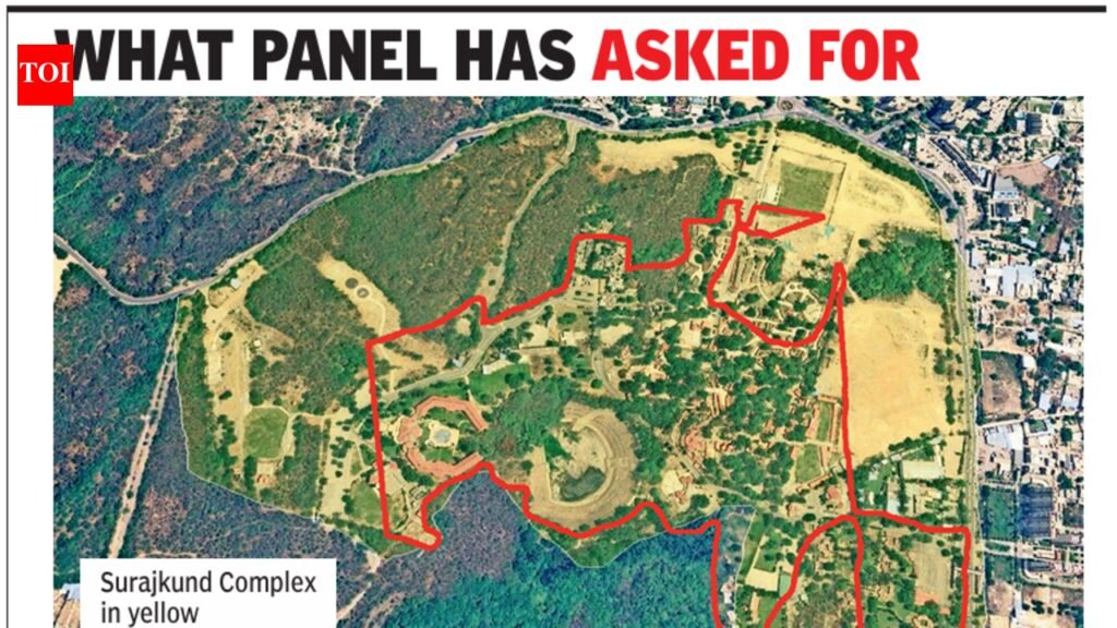 Ministry panel directs action against officers for diverting forest land at Surajkund in Faridabad | Gurgaon News