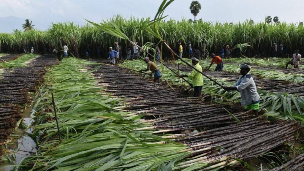Govt extends aid scheme for Sanjivani sugar factory till Mar 2027 | Goa News