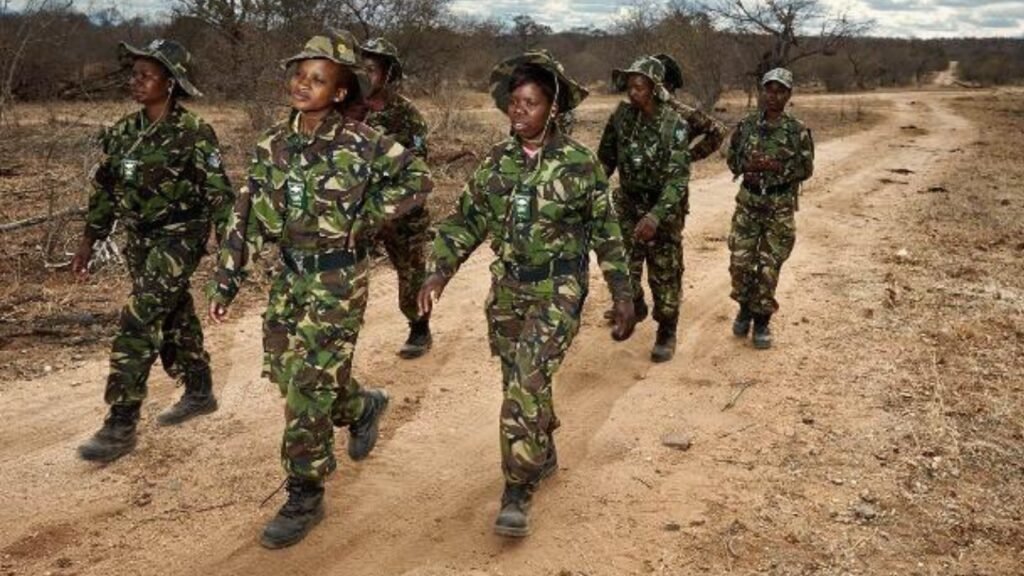 Meet the Black Mambas: In one of South Africa’s regions hardest hit by poaching, 36 unarmed women patrol the frontline and protect endangered rhinos | World News