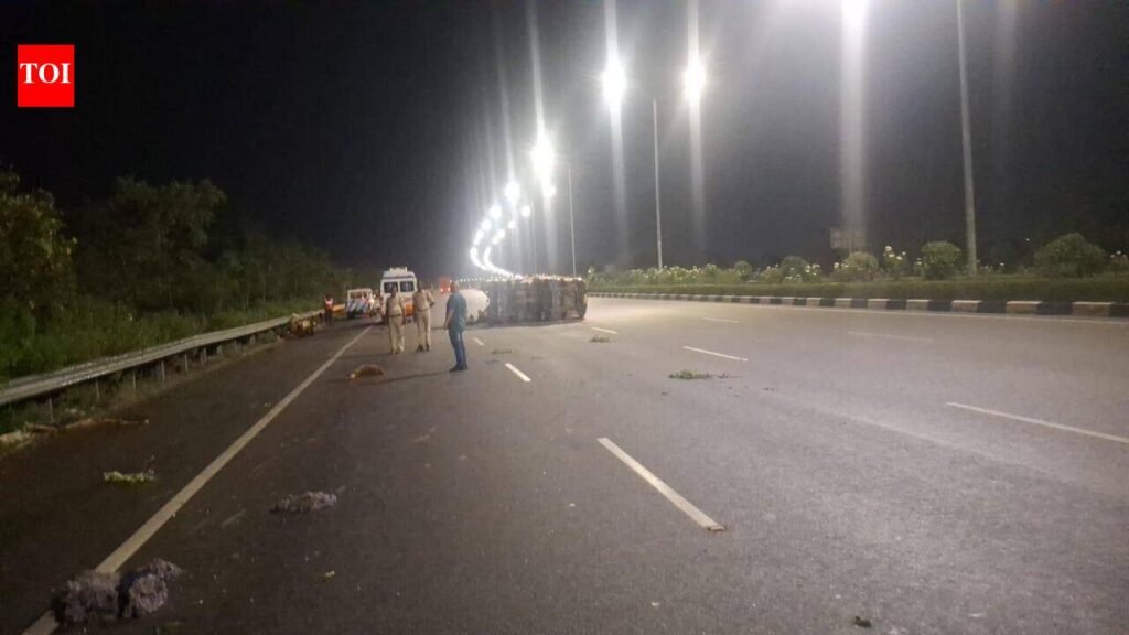 2 killed, 1 hurt as speeding truck rams into parked van | Hyderabad News