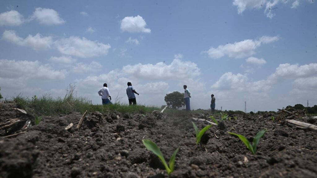 Withering crops, growing debt: Delayed monsoon pushes farmers to the brink in Telangana | Hyderabad News