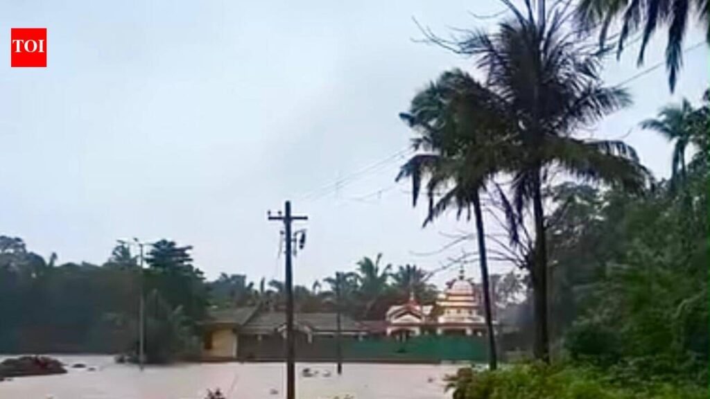 Torrential rain swells rivers, floods roads in Sattari | Goa News