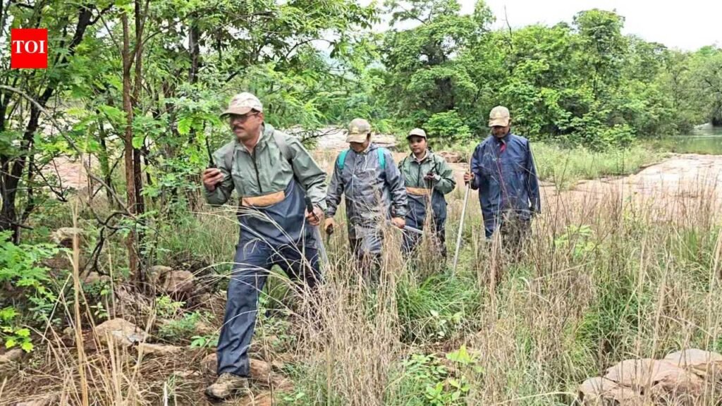 Monsoon SOP tightens vigil in Debrigarh sanctuary | Bhubaneswar News