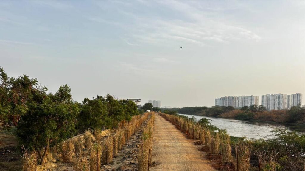 Forest officials restore Buckingham Canal stretch into urban green corridor | Chennai News