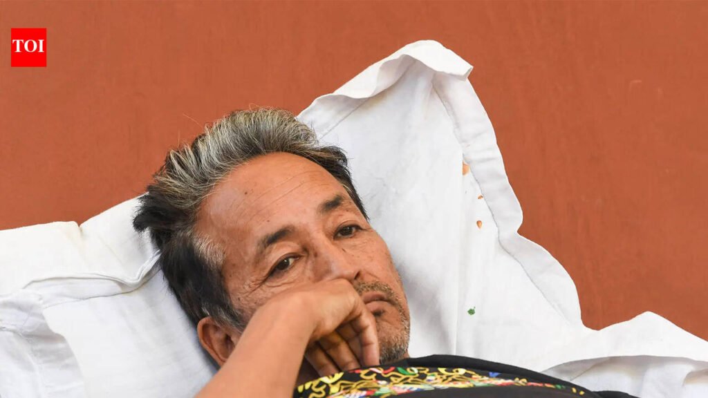 ‘May pose risk to kidney function’: Doctors warn of health complications if Sonam Wangchuk continues fasting | Delhi News