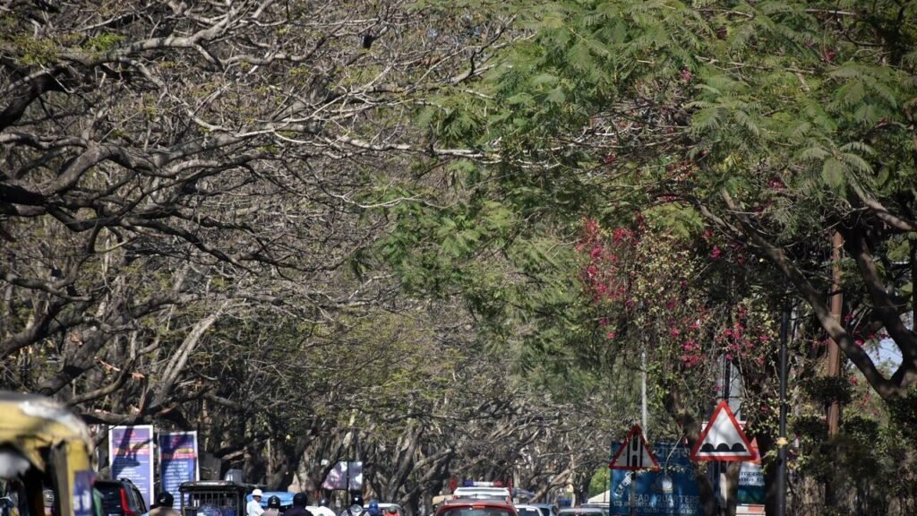 SUDA plans to set up a climate centre for sustainable cities | Ranchi News