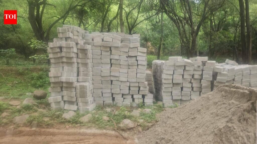 Weeks after a hill was flattened, fresh road work breaches Mangar Bani core | Gurgaon News