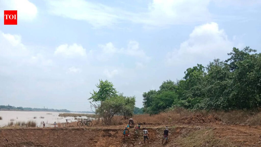 For Puja idol immersion, BMC preps up to dig ponds | Bhubaneswar News