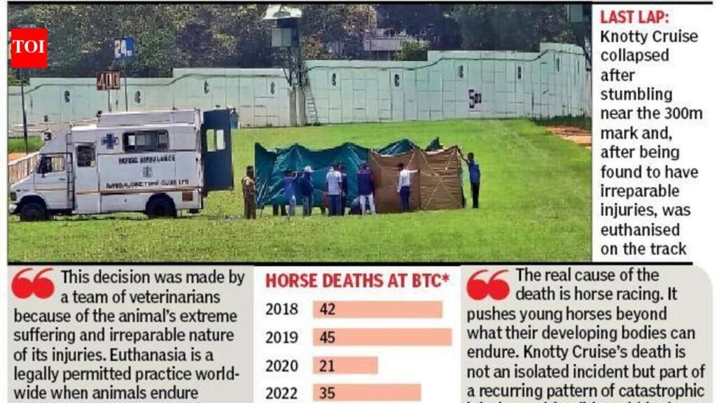 4-year-old racehorse euthanised at Bangalore Turf Club after irreparable leg injury | Bengaluru News