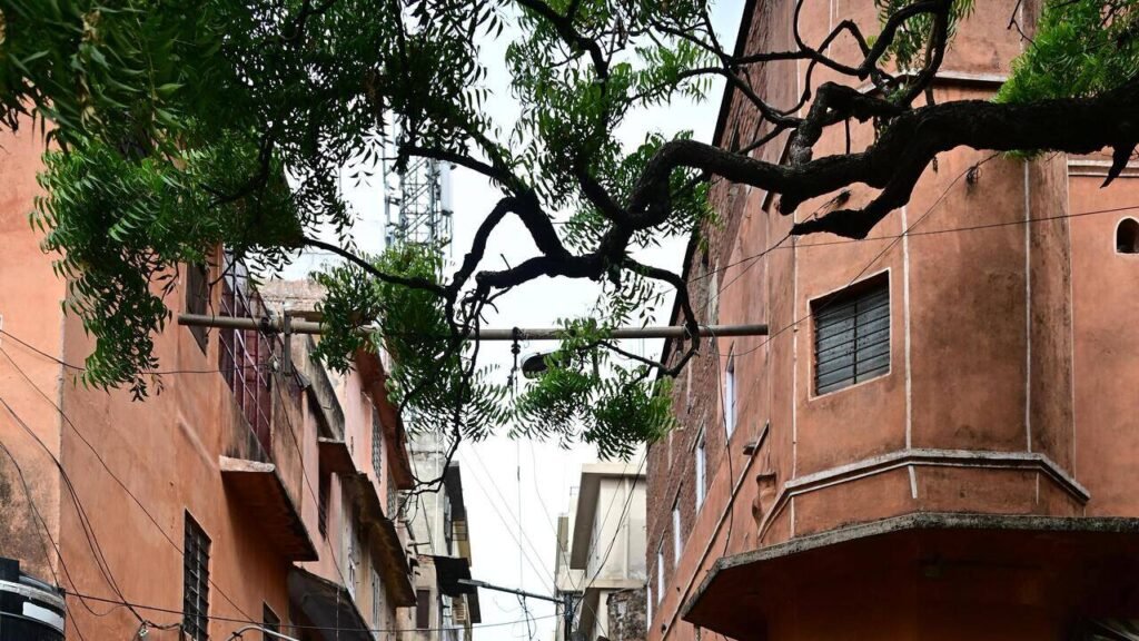Road left dug up for six weeks adds to Jaipur’s Walled City woes | Jaipur News