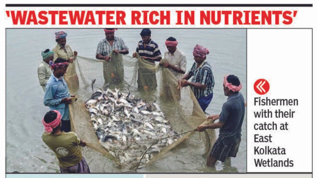 Restore sewage flow into EKW to revive indigenous fish: Experts | Kolkata News
