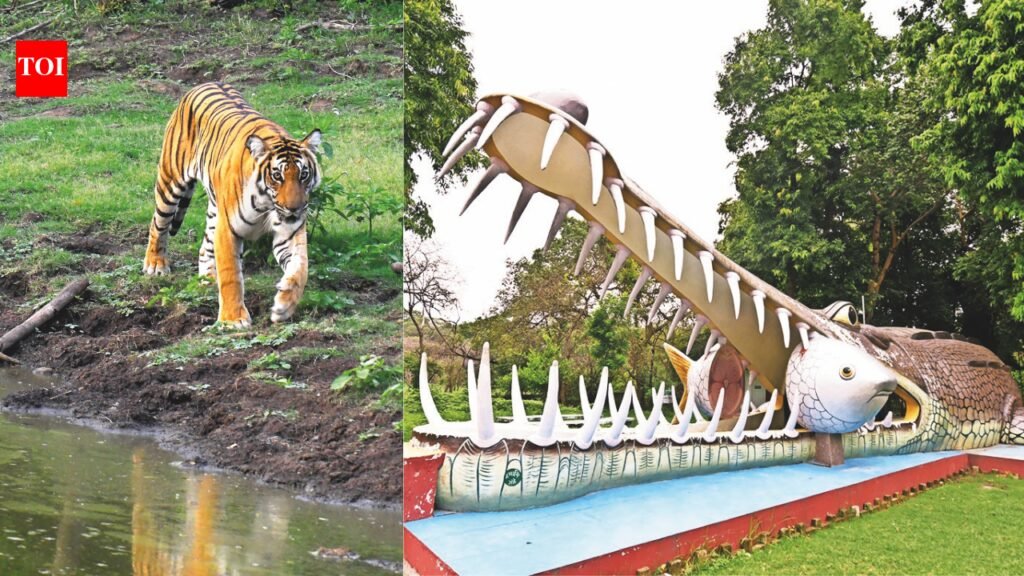 After Supreme Court’s go ahead, decks have been cleared for India’s first and the world’s largest Night Safari in Lucknow | Lucknow News