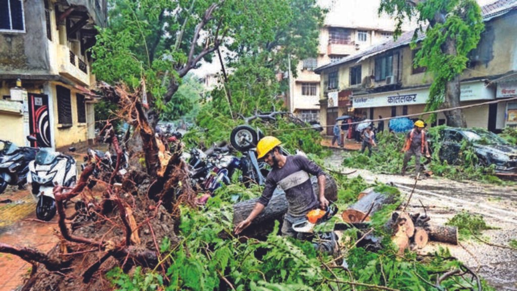 BMC prunes, removes fallen trees at 3,841 locations across Mumbai after damage due to heavy rain | Mumbai News